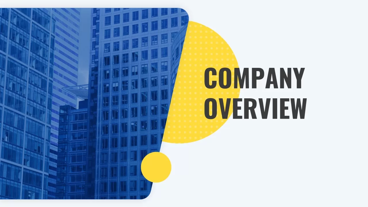 Company Overview